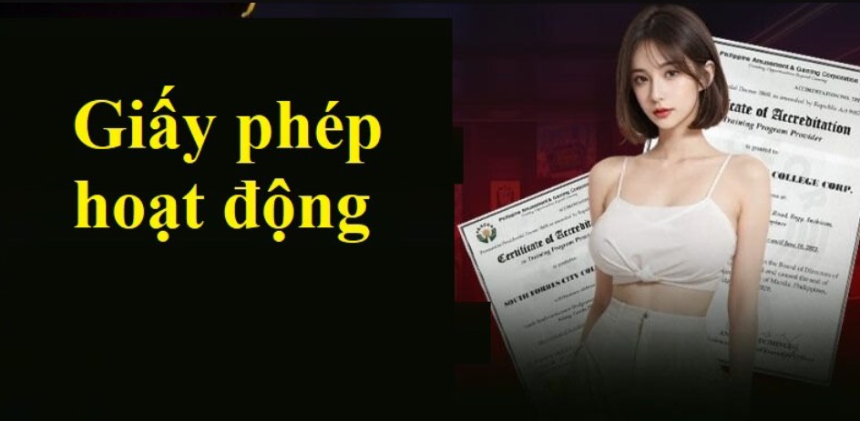 Phạm vi hoạt động được quy định rõ ràng